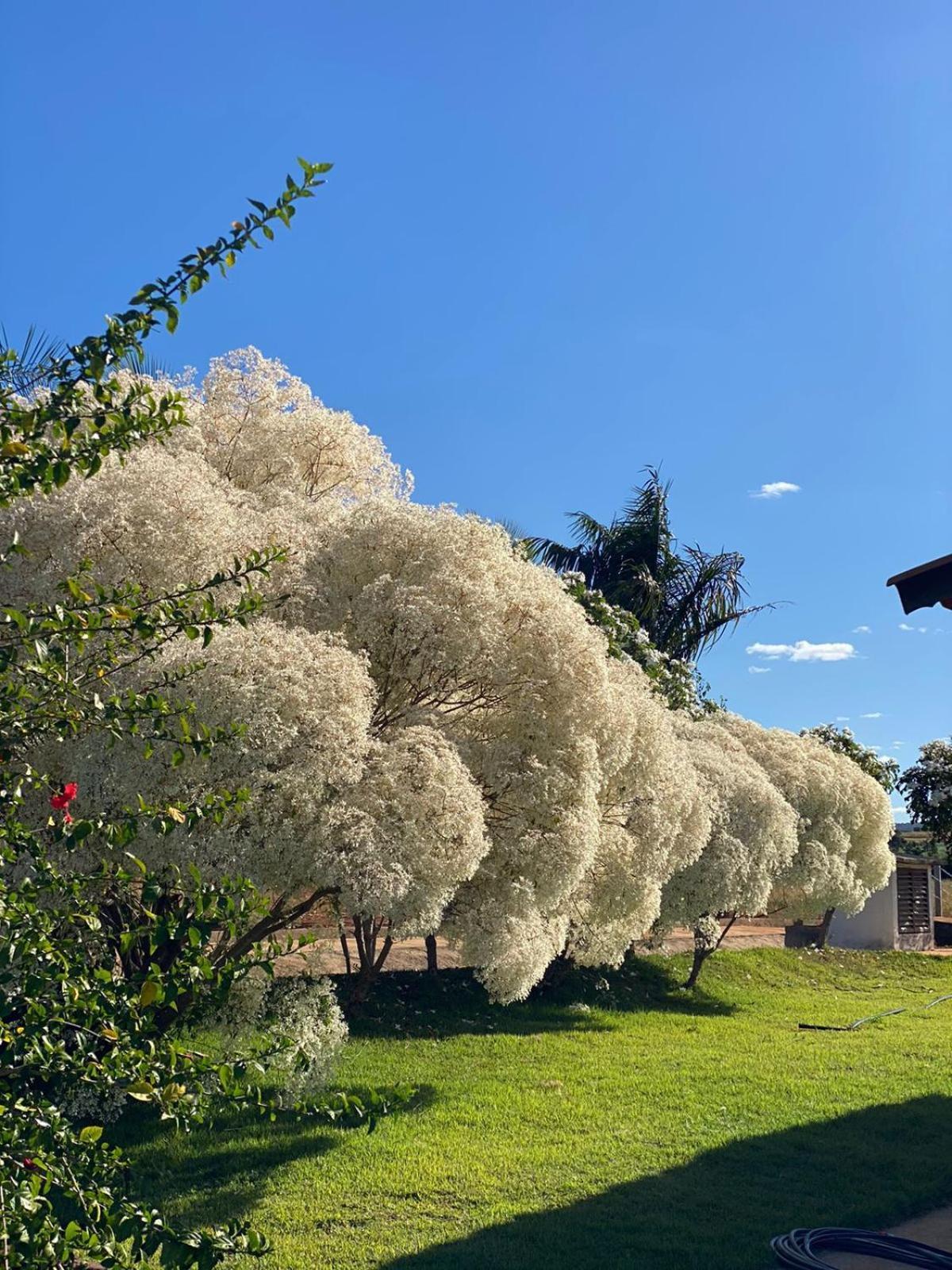 Chacara Paraiso Recanto Do Sol Caldas Novas Exterior foto