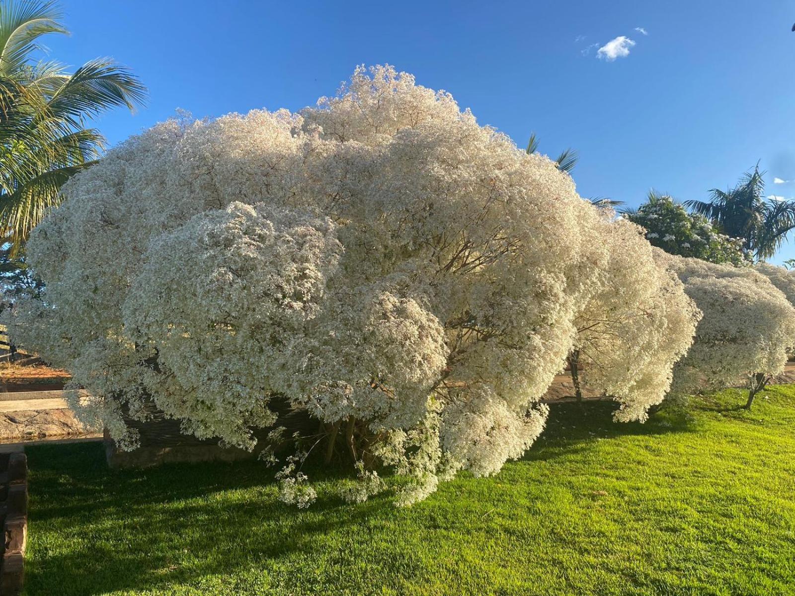 Chacara Paraiso Recanto Do Sol Caldas Novas Exterior foto